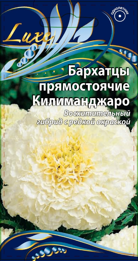 Бархатцы прямостоячие Килиманжаро 0