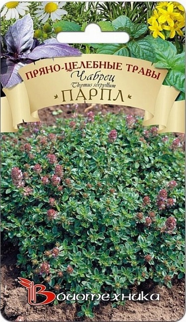 Чабрец Парпл 0