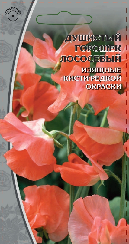 Душистый горошек Лососевый 0
