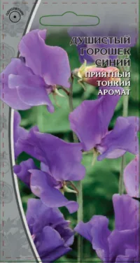 Душистый горошек Синий 0