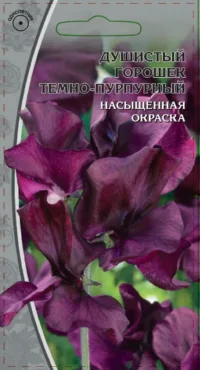 Душистый горошек Темно-пурпурный 0