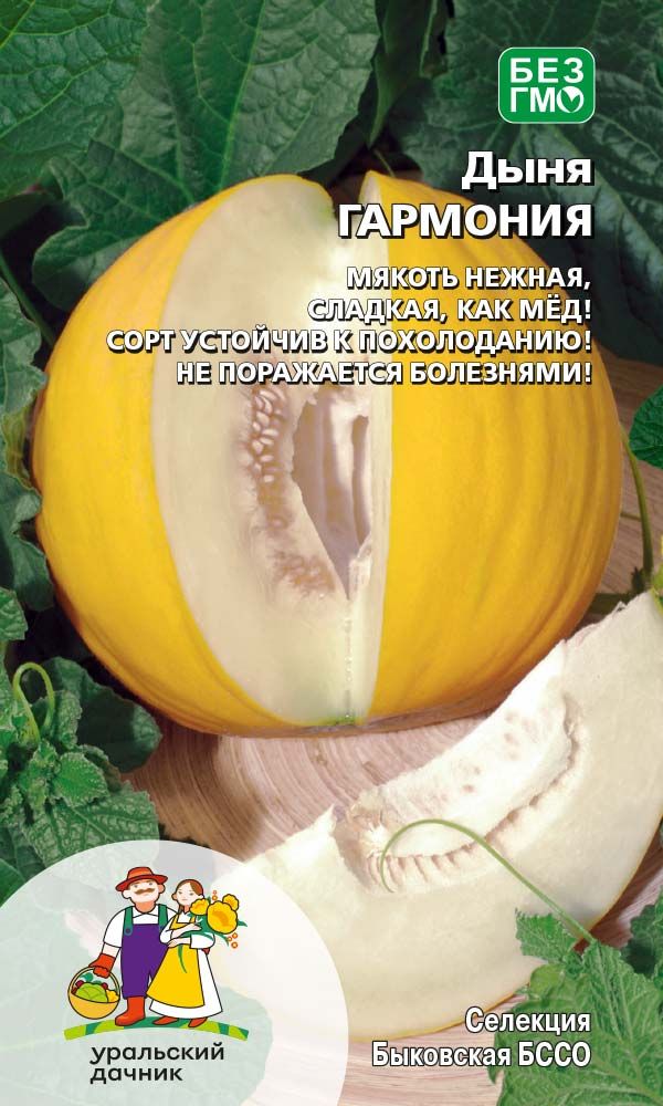 Дыня Гармония (УД) 10 шт