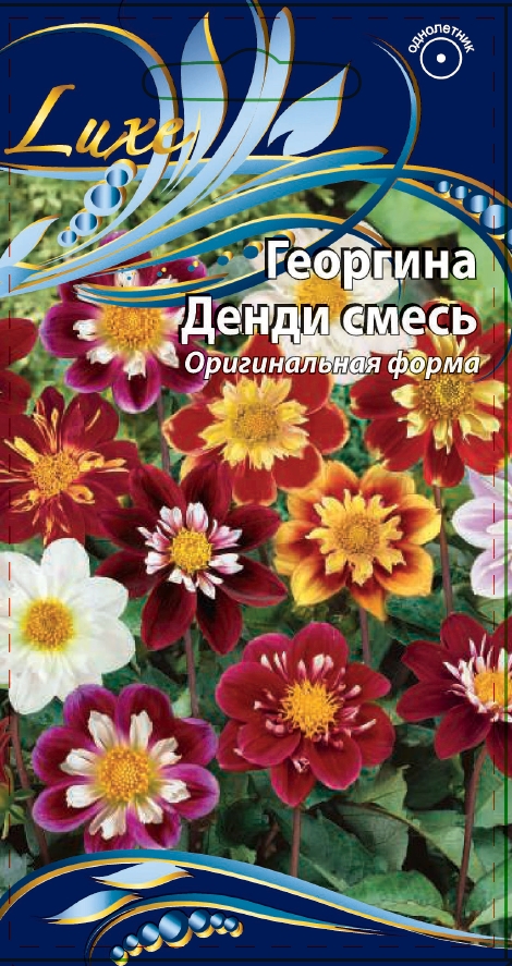 Георгина Денди 0