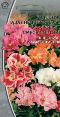 Годеция Азалиецветковая махровая смесь сортов 0