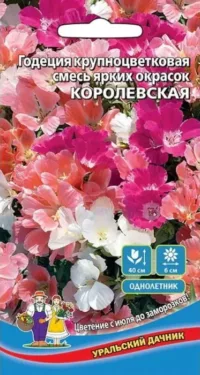Годеция Королевская-крупноцветковая смесь ярких окрасок (УД) 0
