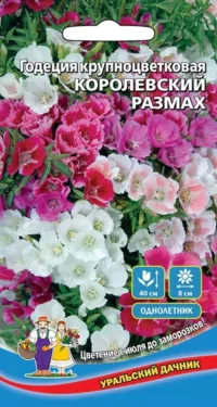 Годеция Королевский размах - крупноцветковая (УД) 0