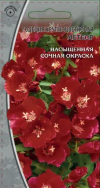 Годеция Метеор 0