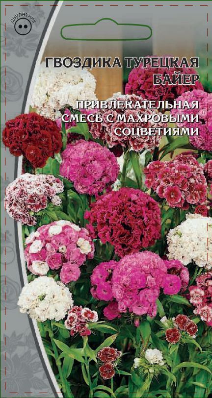 Гвоздика турецкая Байер 0