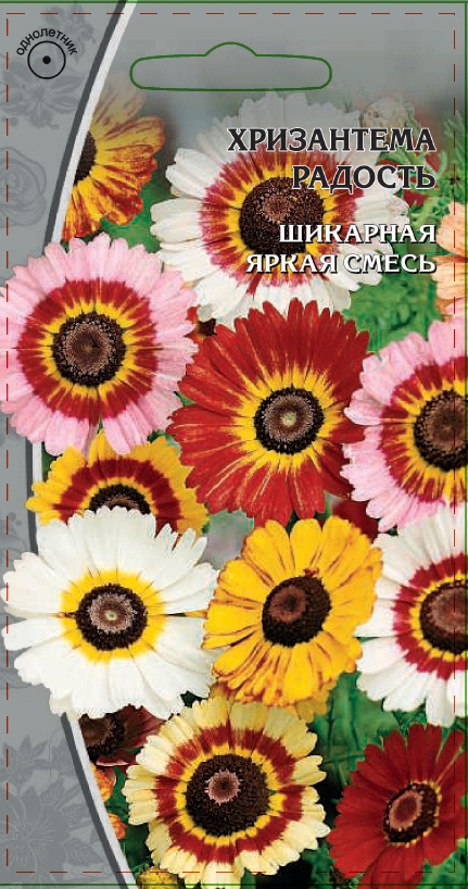Хризантема Радость 0
