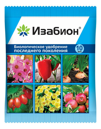 Изабион