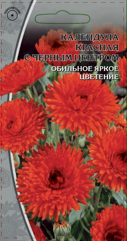 Календула Красная с черным центром 0