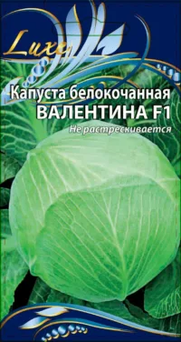 Капуста белокочанная Валентина F1 0