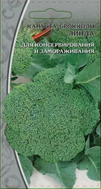 Капуста брокколи Линда 0