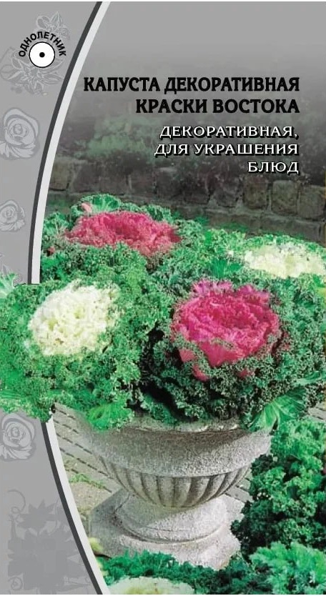 Капуста декоративная Краски Востока 0