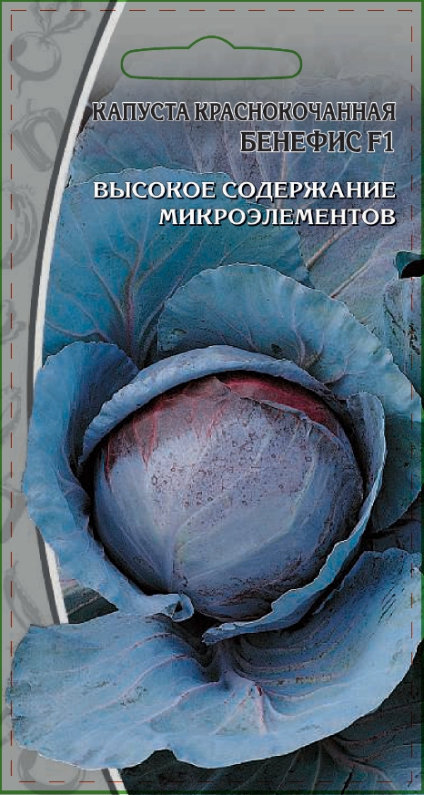 Капуста краcнокочанная Бенефис F1 0