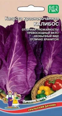Капуста краcнокочанная Калибос (УД) 0