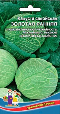 Капуста савойская Золотая ранняя (УД) 0
