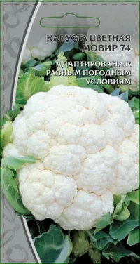 Капуста цветная Мовир 74 0