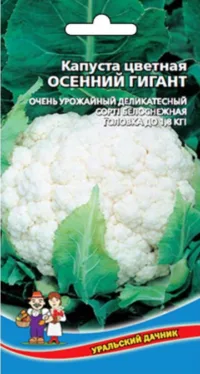 Капуста цветная Осенний гигант (УД) 0