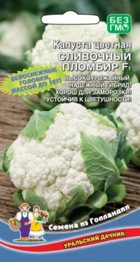 Капуста цветная Сливочный пломбир (УД) 0
