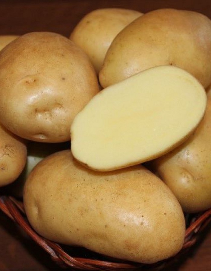 Картофель Гулливер