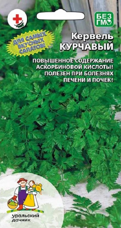 Кервель Курчавый (УД) 0