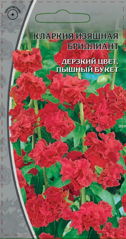 Кларкия изящная Бриллиант 0