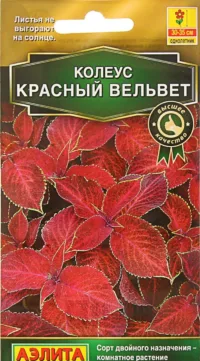 Колеус блюме Красный вельвет (Аэлита) 5 шт
