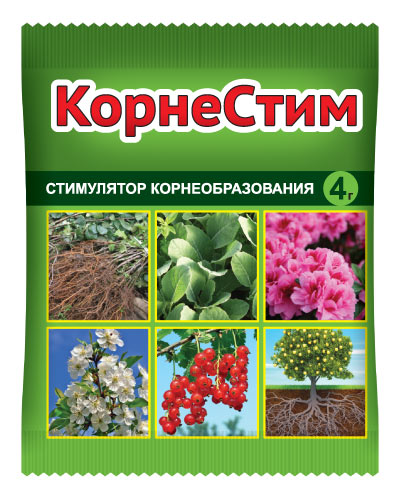 Корнестим