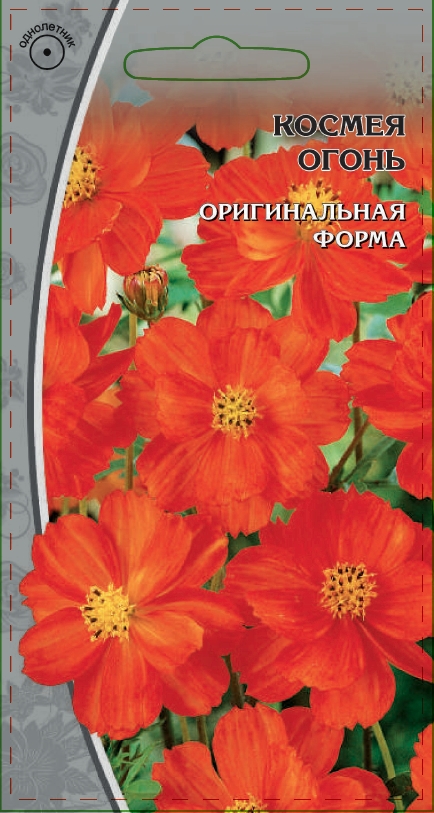 Космея Огонь 0