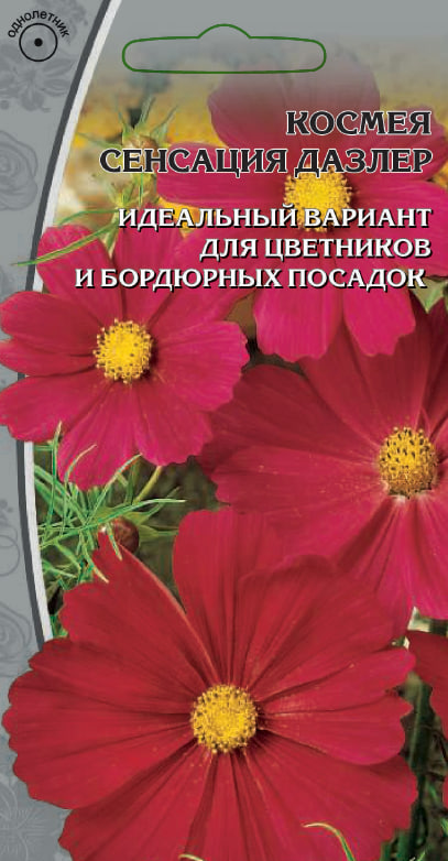 Космея Сенсация Дазлер 0