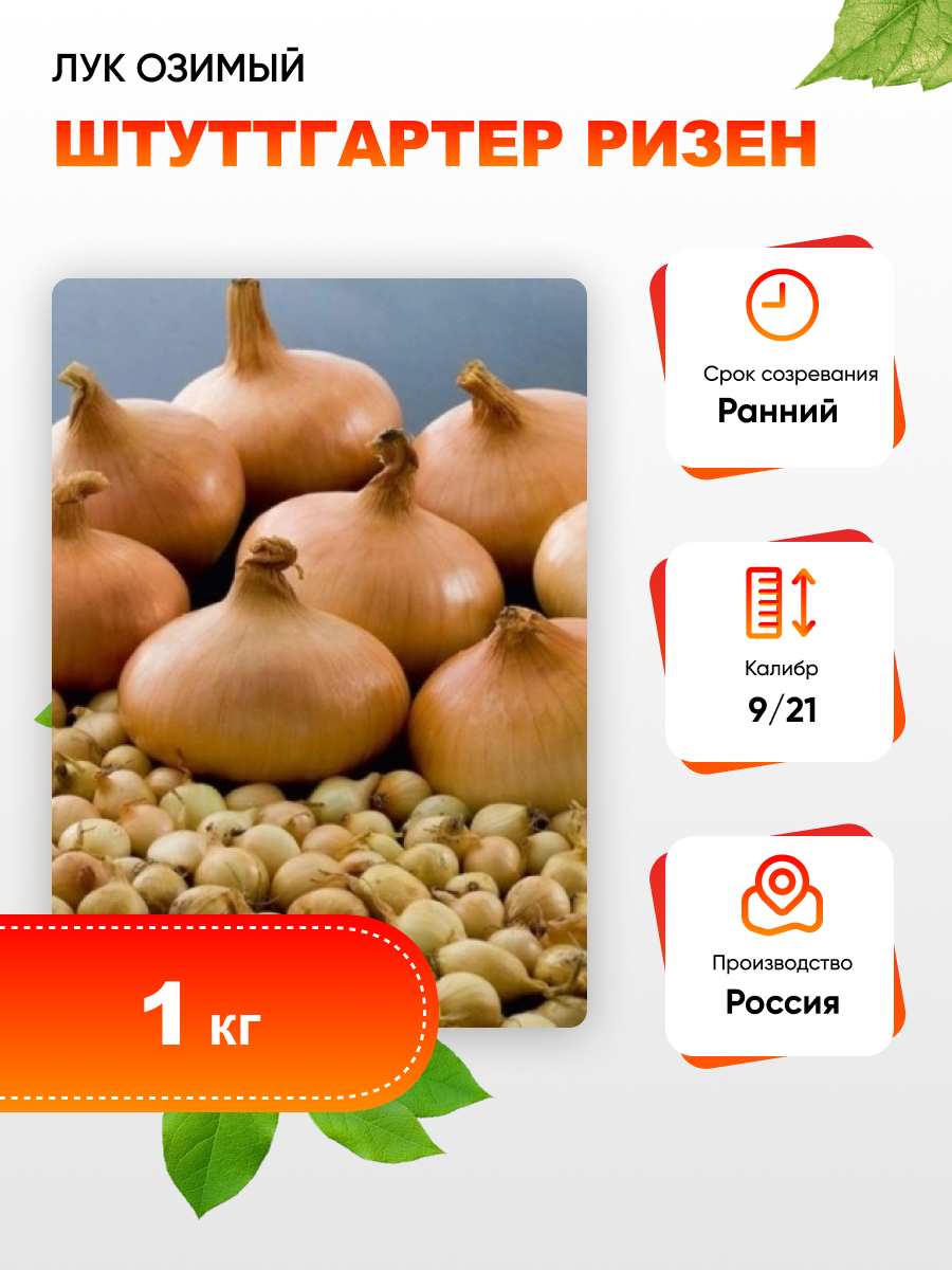 Лук озимый Штуттгартер ризен (калибр 9/14)1кг