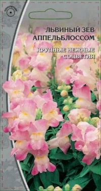 Львиный зев Апельблоссом 0