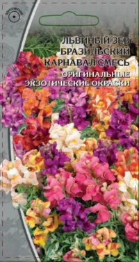 Львиный зев Бразильский карнавал смесь 0
