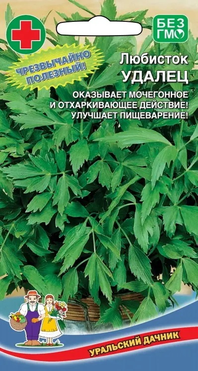 Любисток Удалец (УД) 0