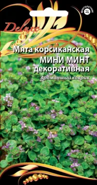 Мята корсиканская Мини минт декоративная 3 шт