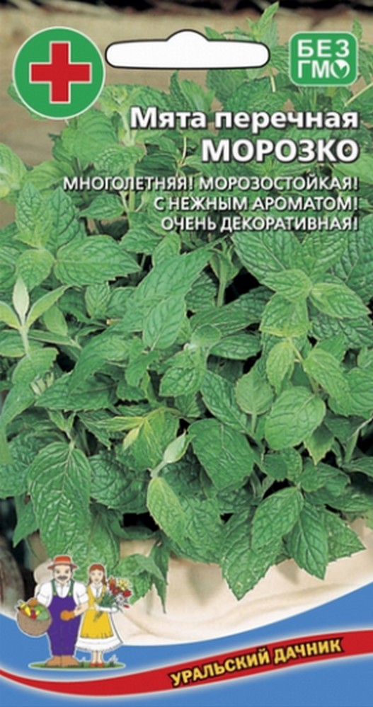 Мята Морозко - перечная (УД) 0