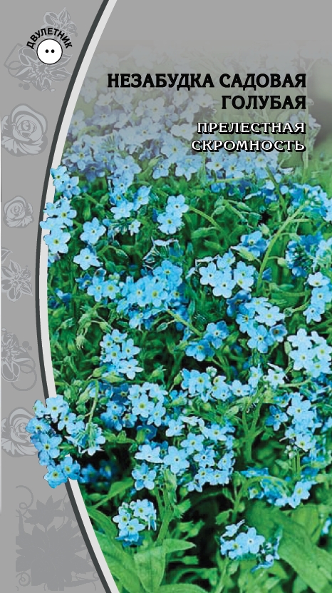 Незабудка Садовая голубая 0