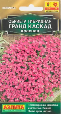 Обриета Гранд каскад красная (Аэлита) 0