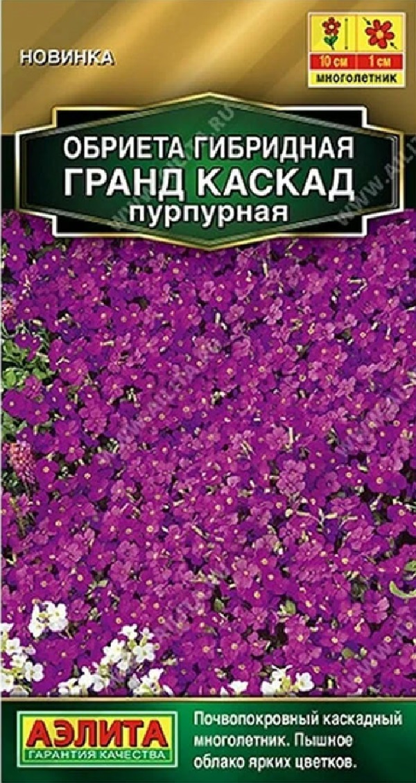 Обриета Гранд каскад пурпурная (Аэлита) 0