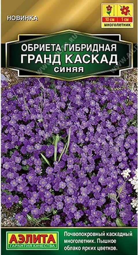 Обриета Гранд каскад синяя (Аэлита) 0