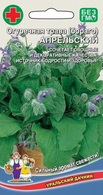 Огуречная трава (бораго) Апрельский (УД) 0
