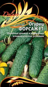 Огурец Форсаж F1 0