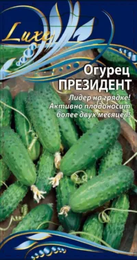 Огурец Президент 0