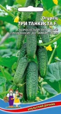 Огурец Три танкиста - корнишон F1 (УД) 10 шт