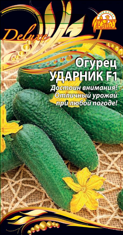 Огурец Ударник F1 (Селекция "ВХ") 0