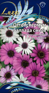 Остеоспермум Баллада смесь 0