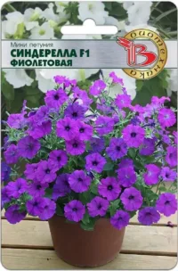 Петуния мини Синдерелла F1 Фиолетовая 15 шт
