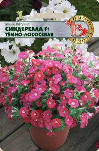 Петуния мини Синдерелла F1 Темно-Лосесевая 15 шт