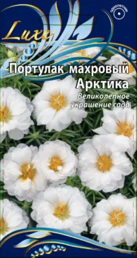 Портулак крупноцветковый махровый Арктика 0